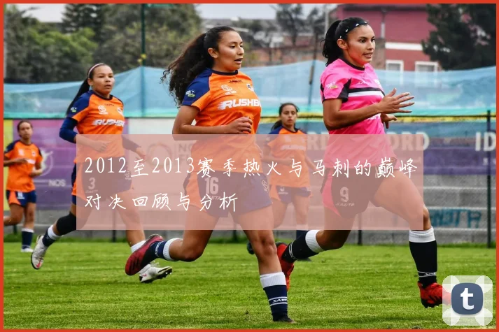 2012至2013赛季热火与马刺的巅峰对决回顾与分析